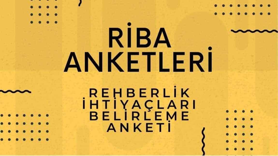 RİBA ANKETLERİ YAYINDA